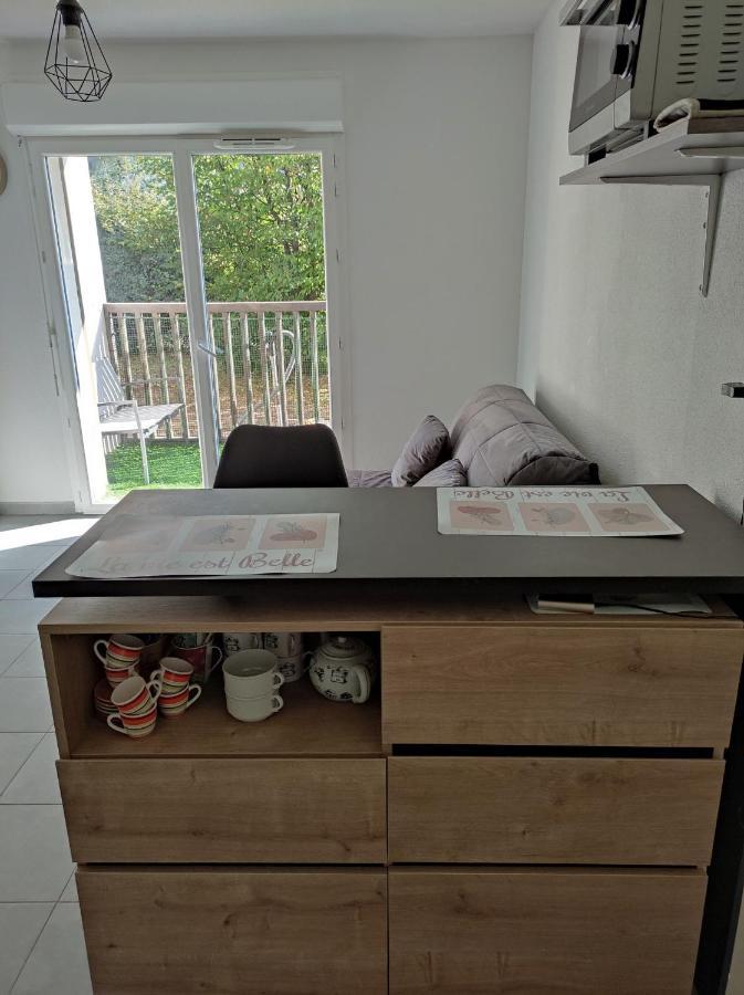 Superbe Appartement En Rez-De-Jardin A Lanton Exterior foto